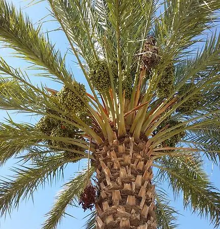 Terra Del Sole Bed & Breakfast 3*